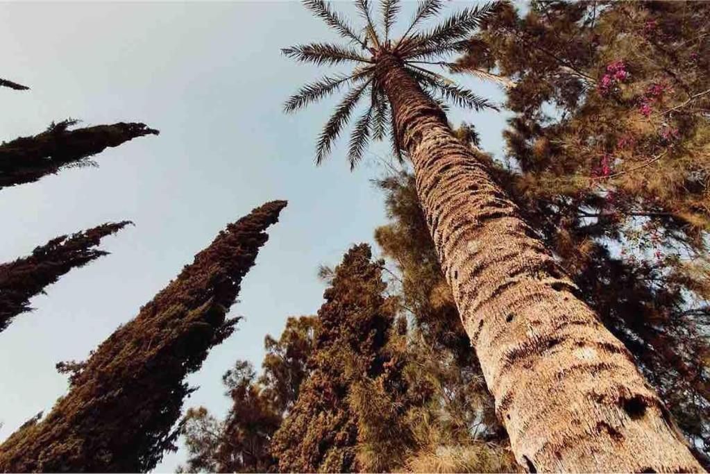 Villa Piscine Agadir Eksteriør bilde